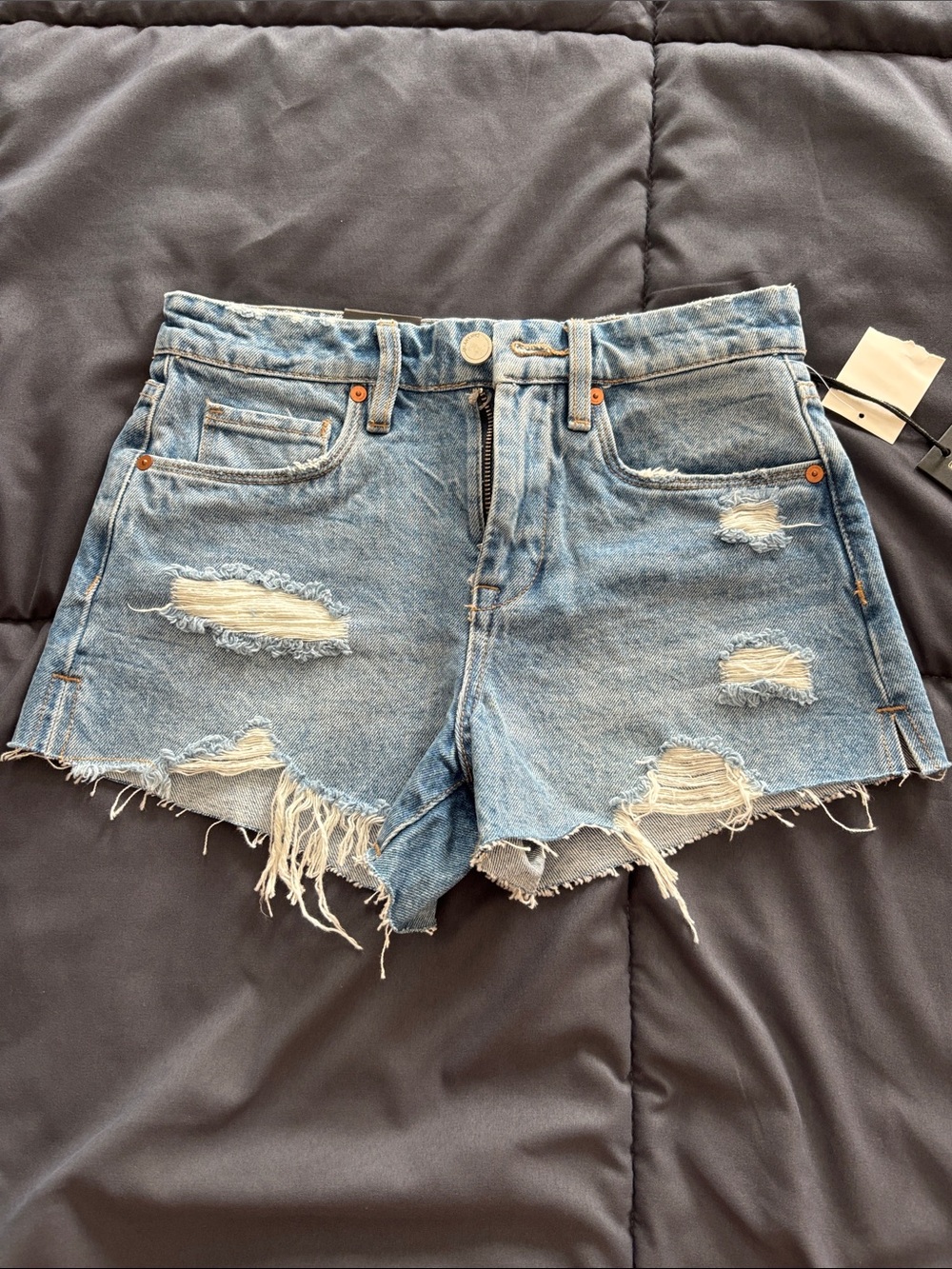 NWT! Blank NYC Light Blue Distressed Denim Cutoff Shorts